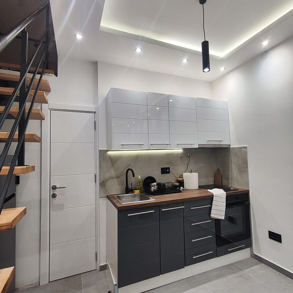 Zeus Apartment Apartment in Belgrade