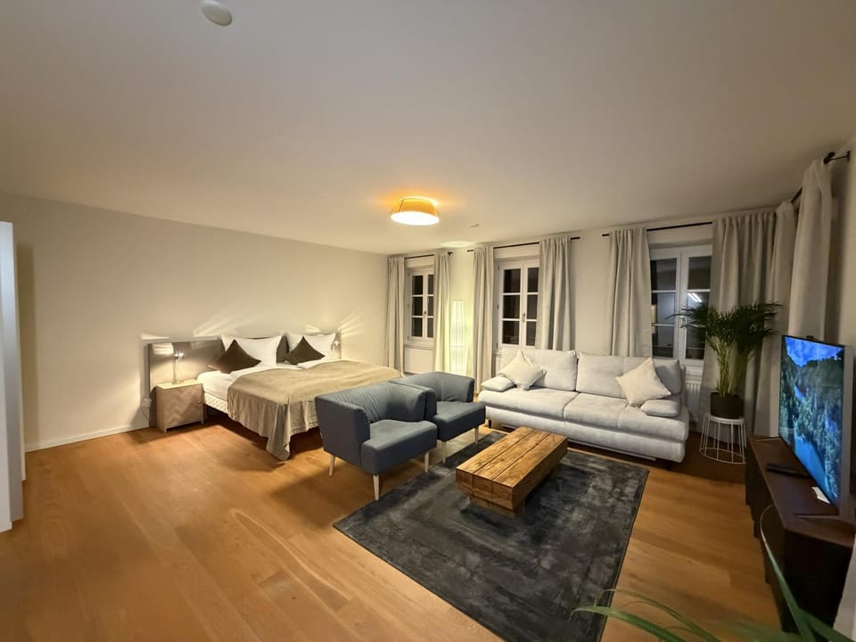 Bed, TV and multimedia, Living room, Photo of the whole room, Seating area, Bedroom