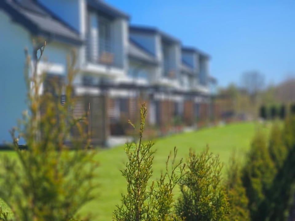 Property building, Garden, Garden view