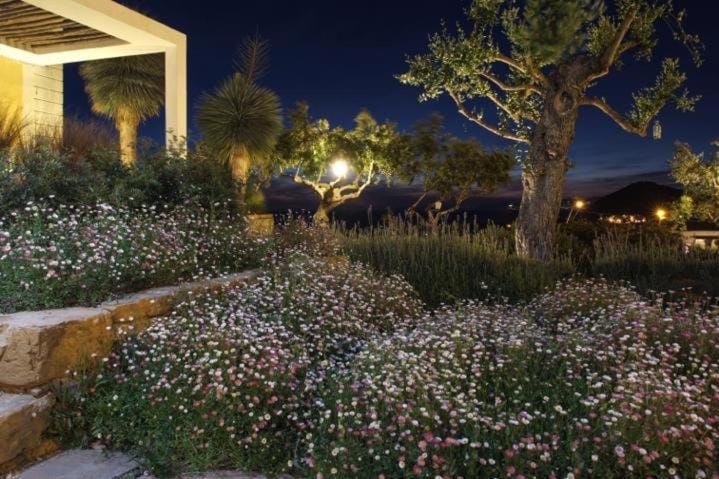 Castellabate House Apartment in Campania