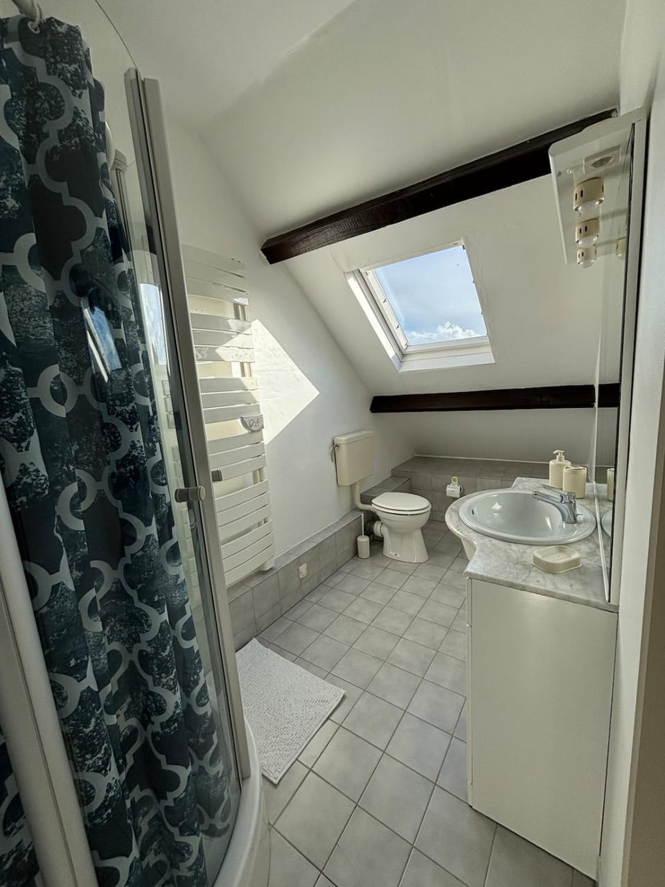 Shower, Toilet, Bathroom