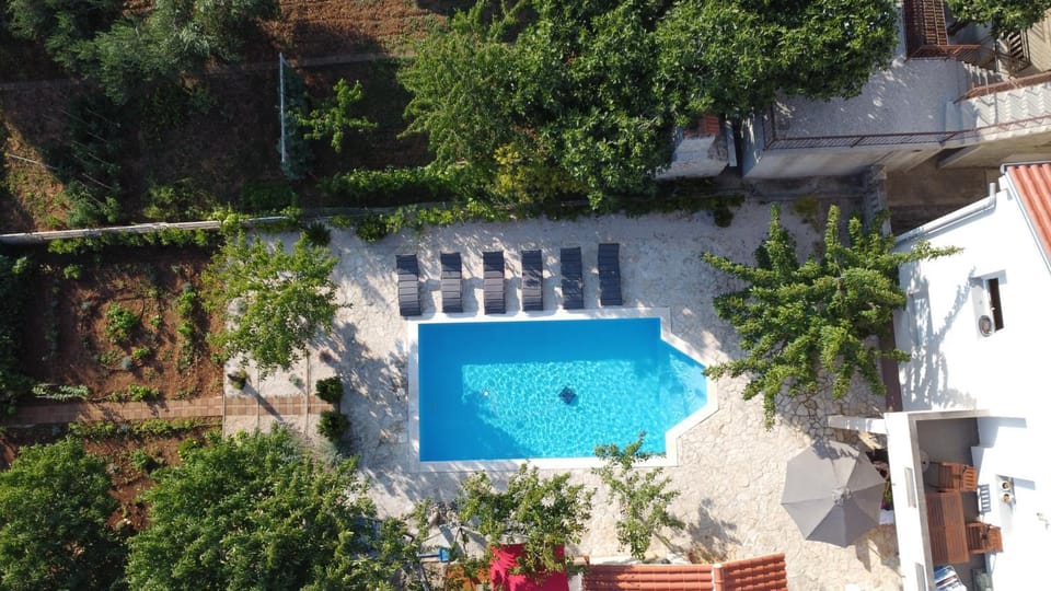 Day, Garden, Swimming pool, sunbed