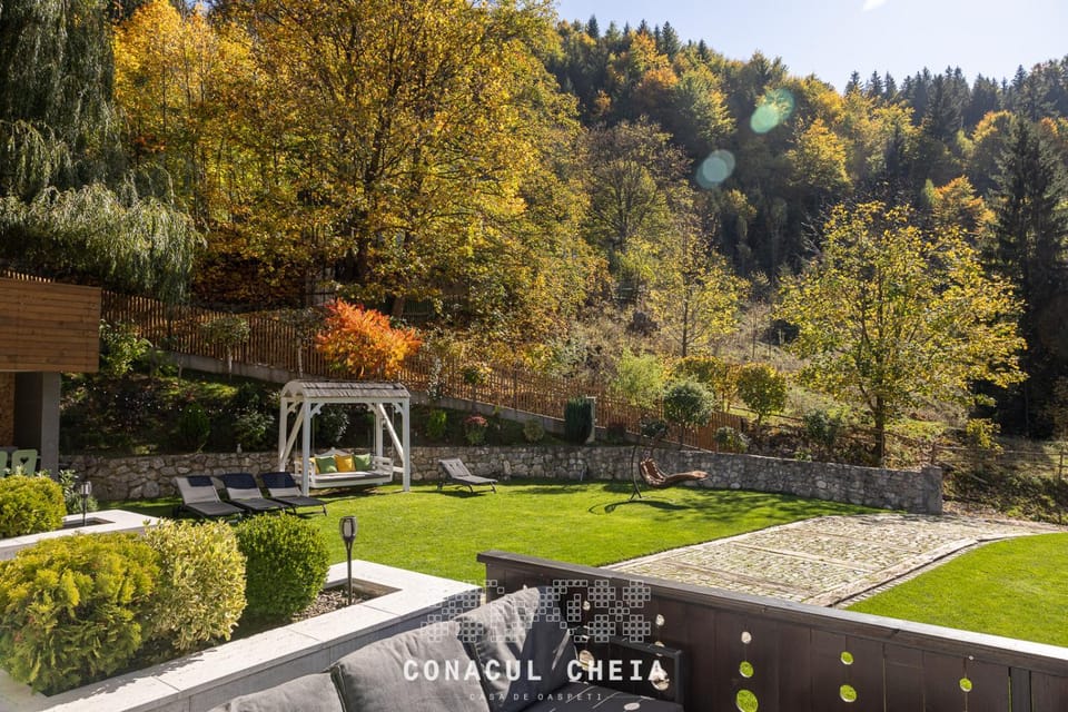 Conacul Cheia Villa in Brașov County