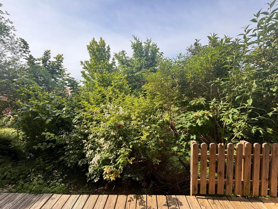 Cozy Apartment with Garden in Graz Free Parking Apartment in Graz