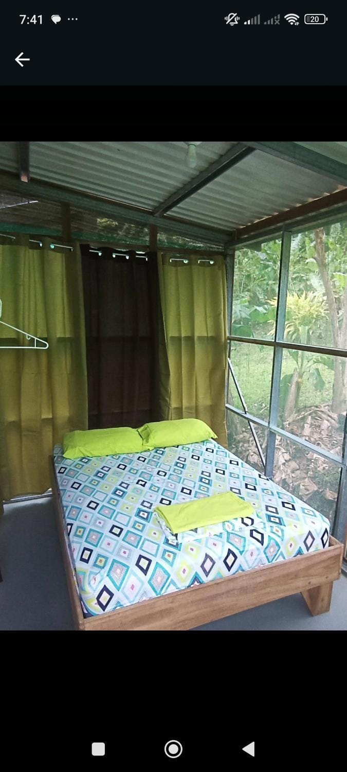 Bed