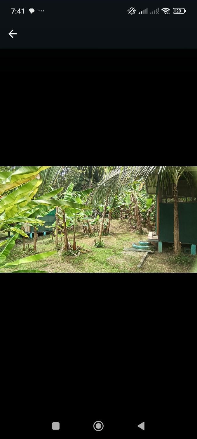Garden, Garden view