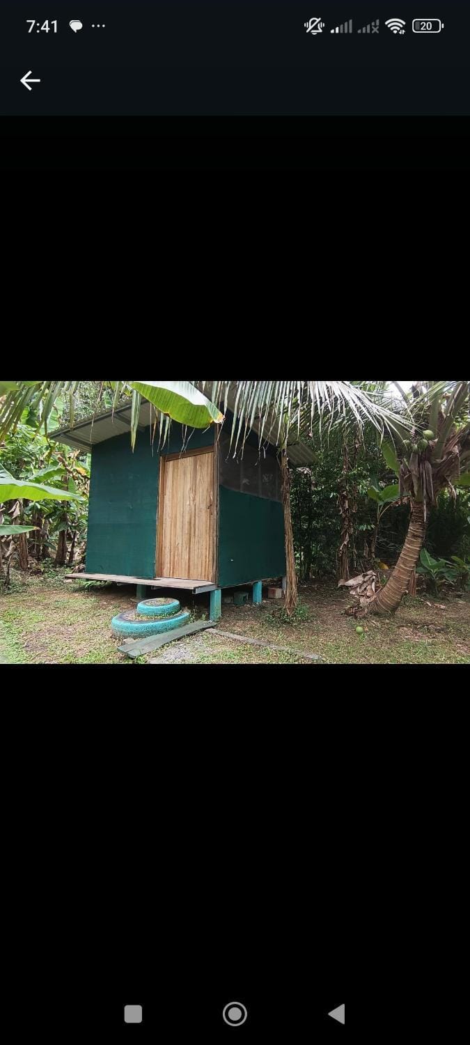 Property building, Natural landscape