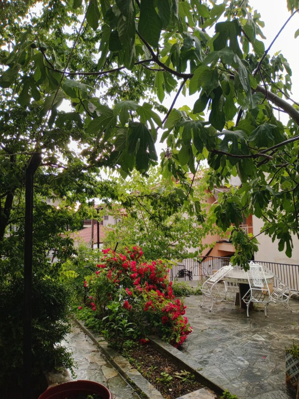 Christos IIII Bed and Breakfast in Halkidiki