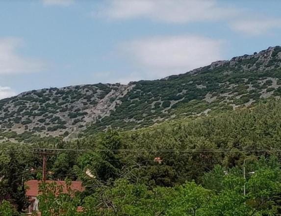 Christos IIII Bed and Breakfast in Halkidiki