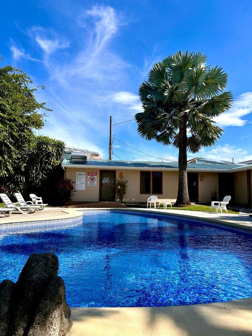 Day, Pool view, Swimming pool