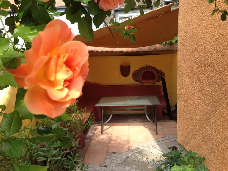 Inner courtyard view