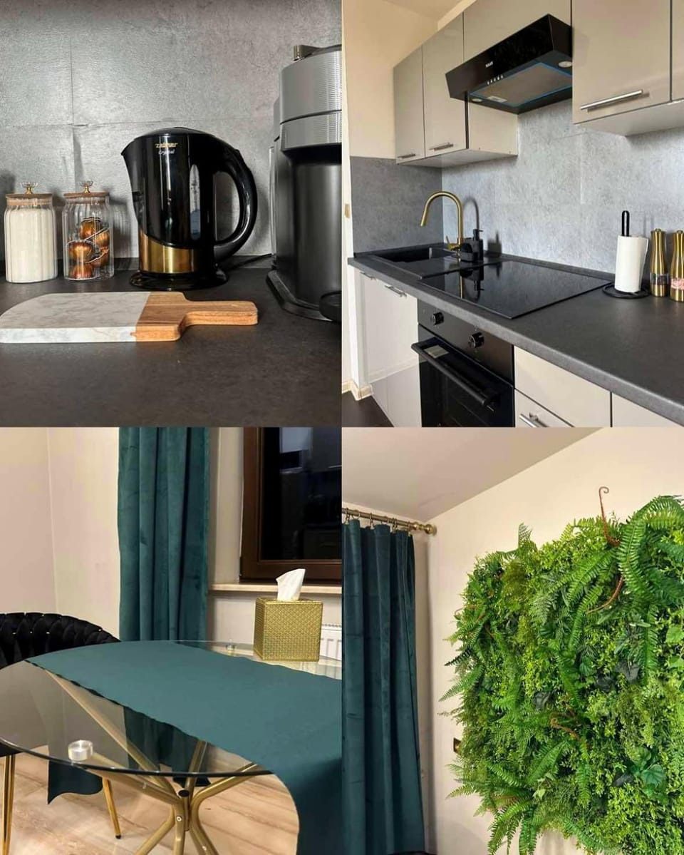 Coffee/tea facilities, Kitchen or kitchenette, stove, toaster