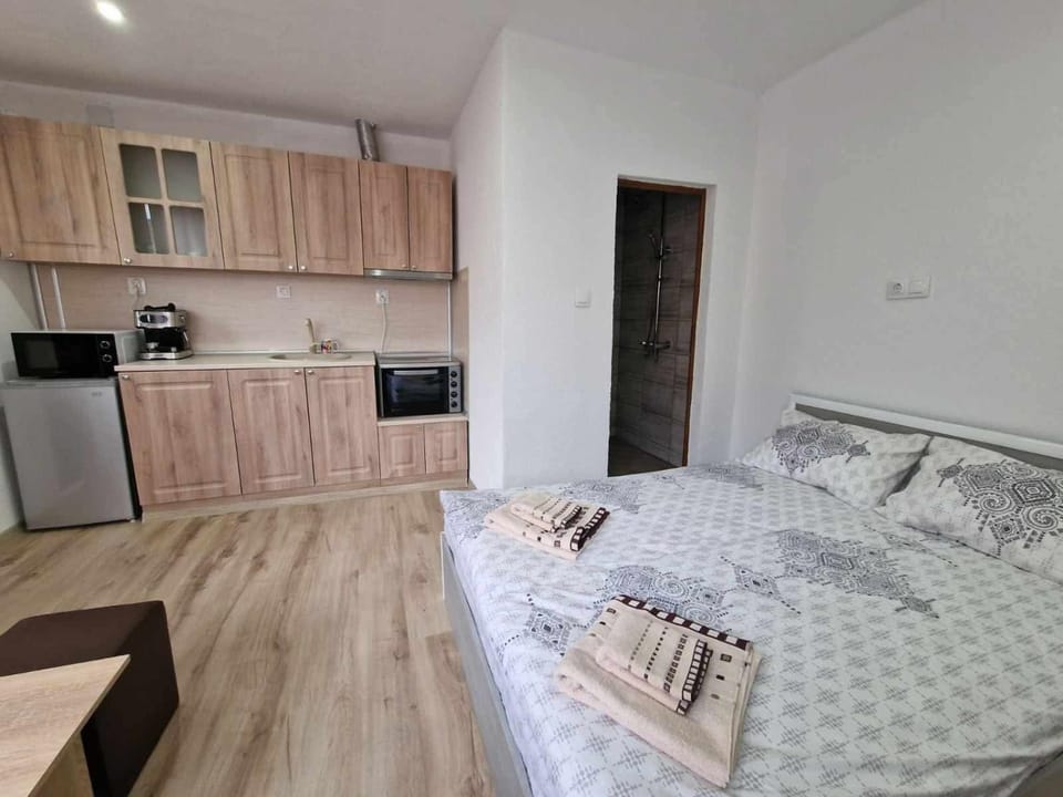 Bed, Kitchen or kitchenette, Photo of the whole room, Bedroom, minibar, oven, stove