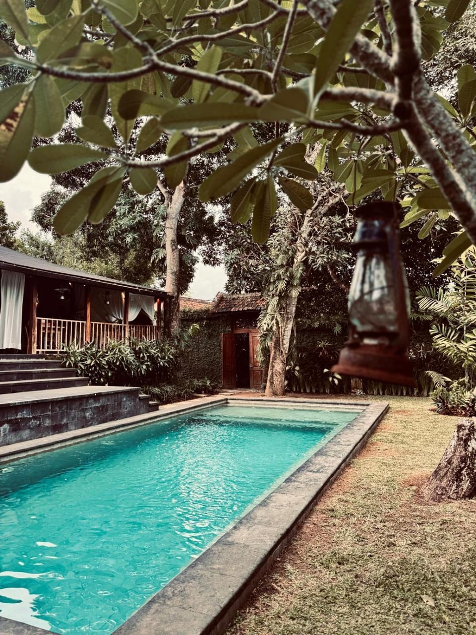 Garden, Swimming pool