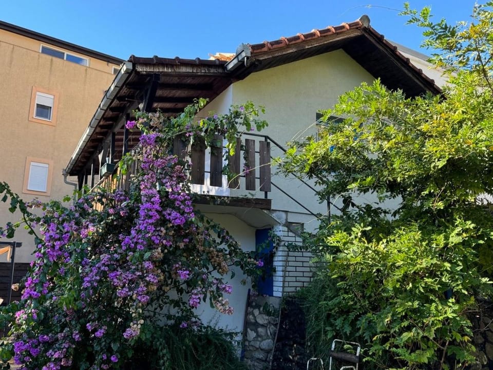 Property building, Spring, Day, Garden
