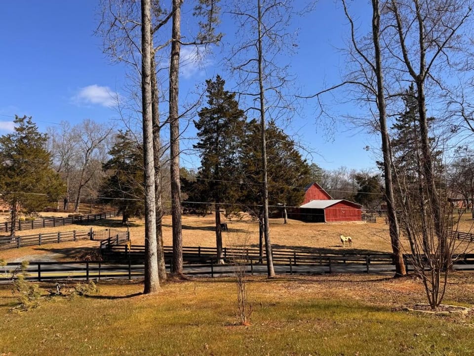 Spacious and Relaxing Home Near Allatoona and Lakepoint Villa in Cartersville