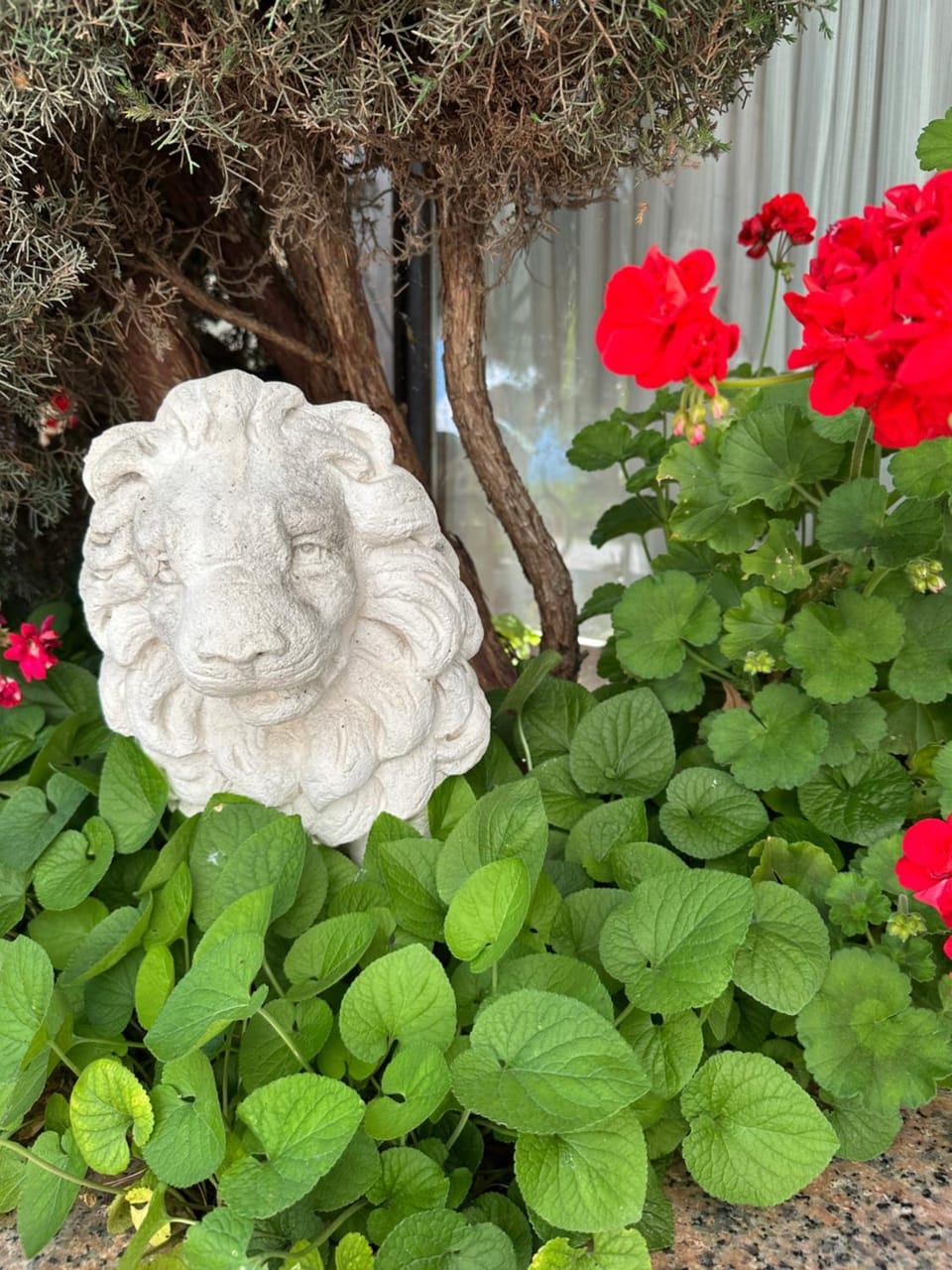 La Lanterna Apartment in Trentino-South Tyrol