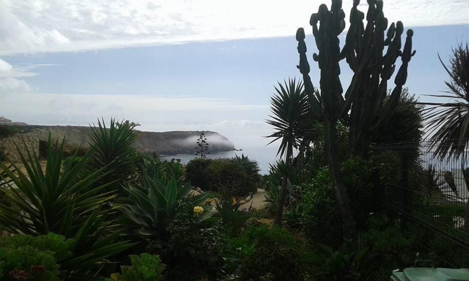 Natural landscape, Sea view