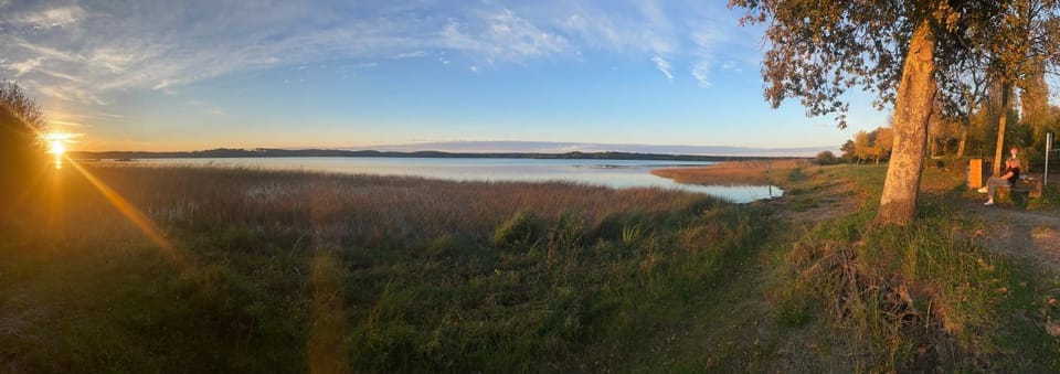 Lake view