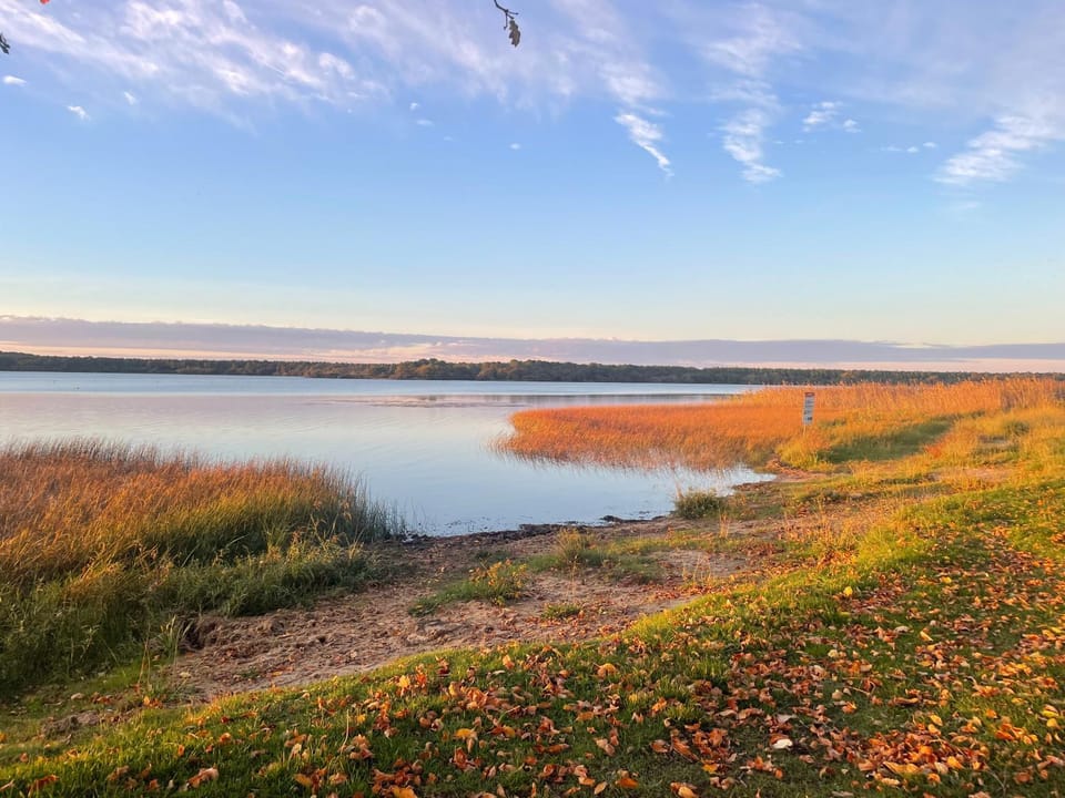 Lake view