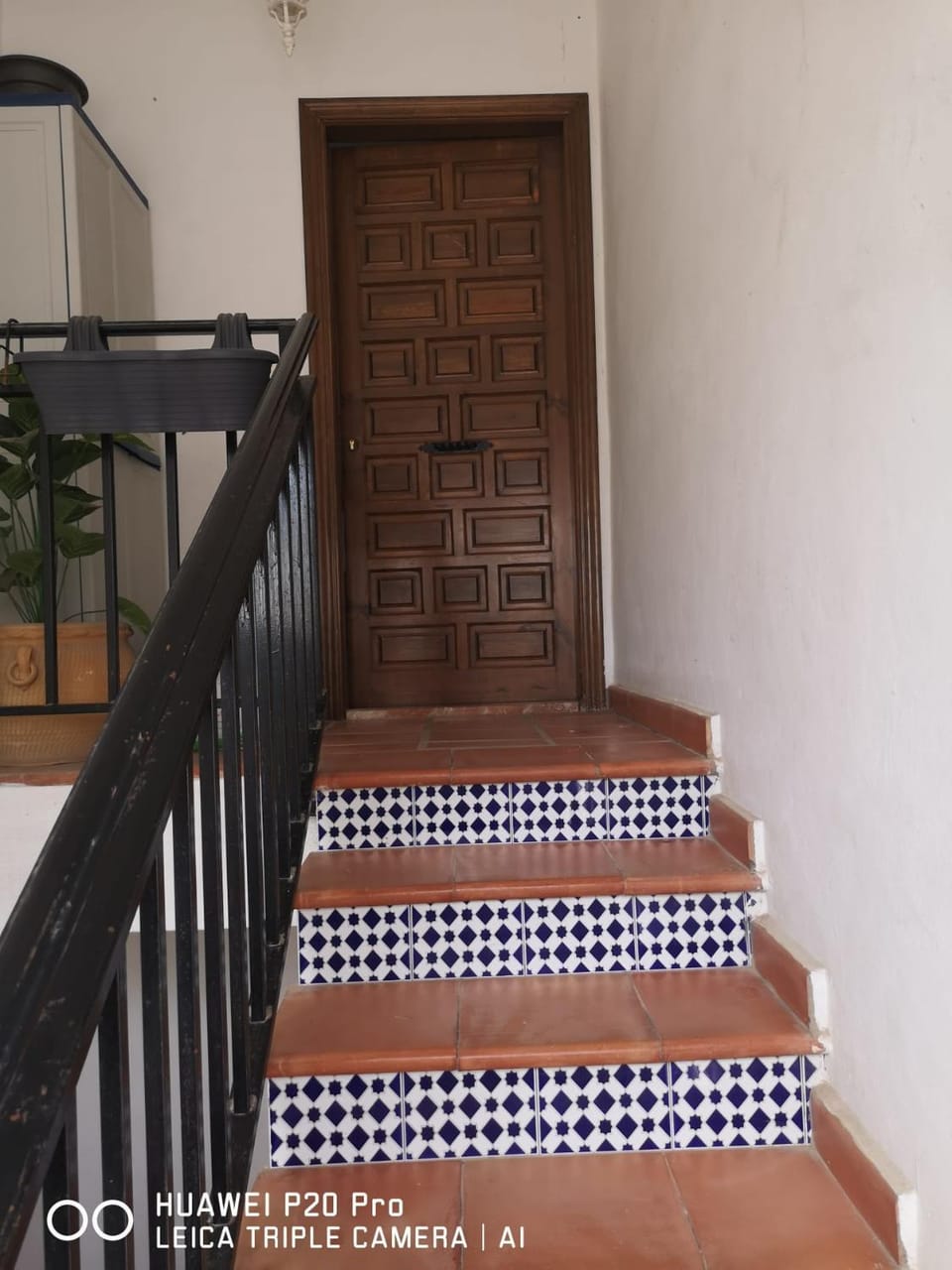 Costa Blanca Apartments Apartment in Torrevieja