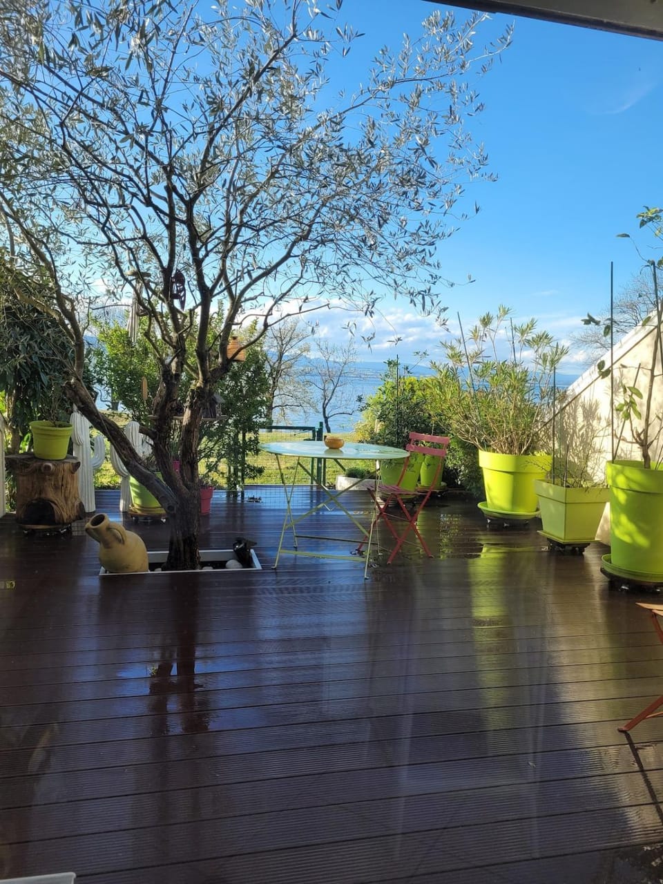 Appartement les pieds dans le Lac Léman Apartment in Thonon-les-Bains