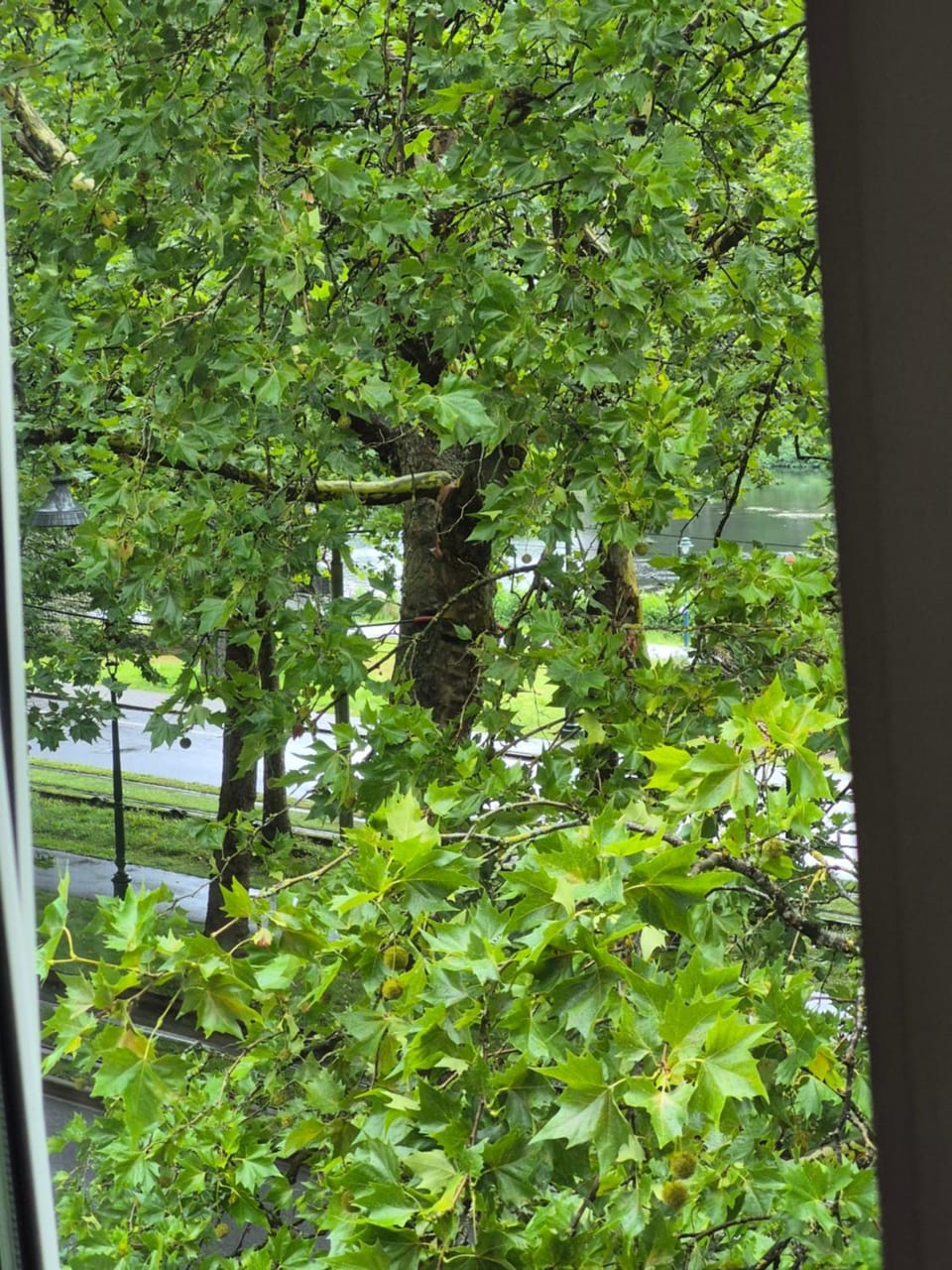 Natural landscape, View (from property/room)