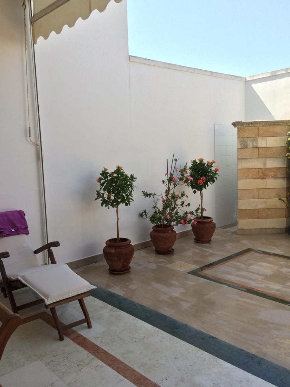 Patio, Garden, View (from property/room)