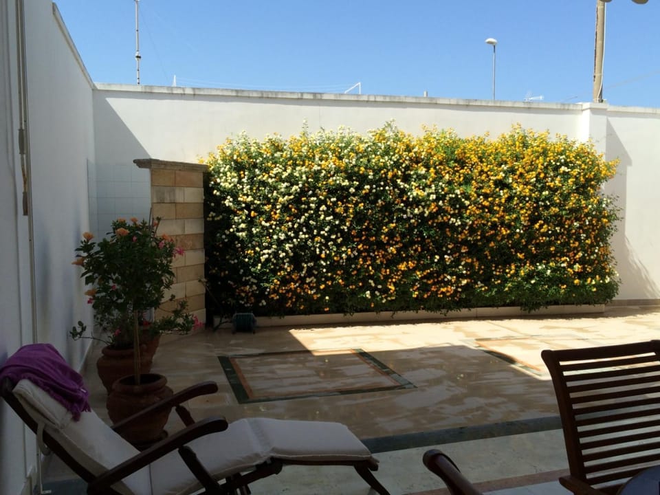Property building, Patio, Day, Garden, Garden, Garden view