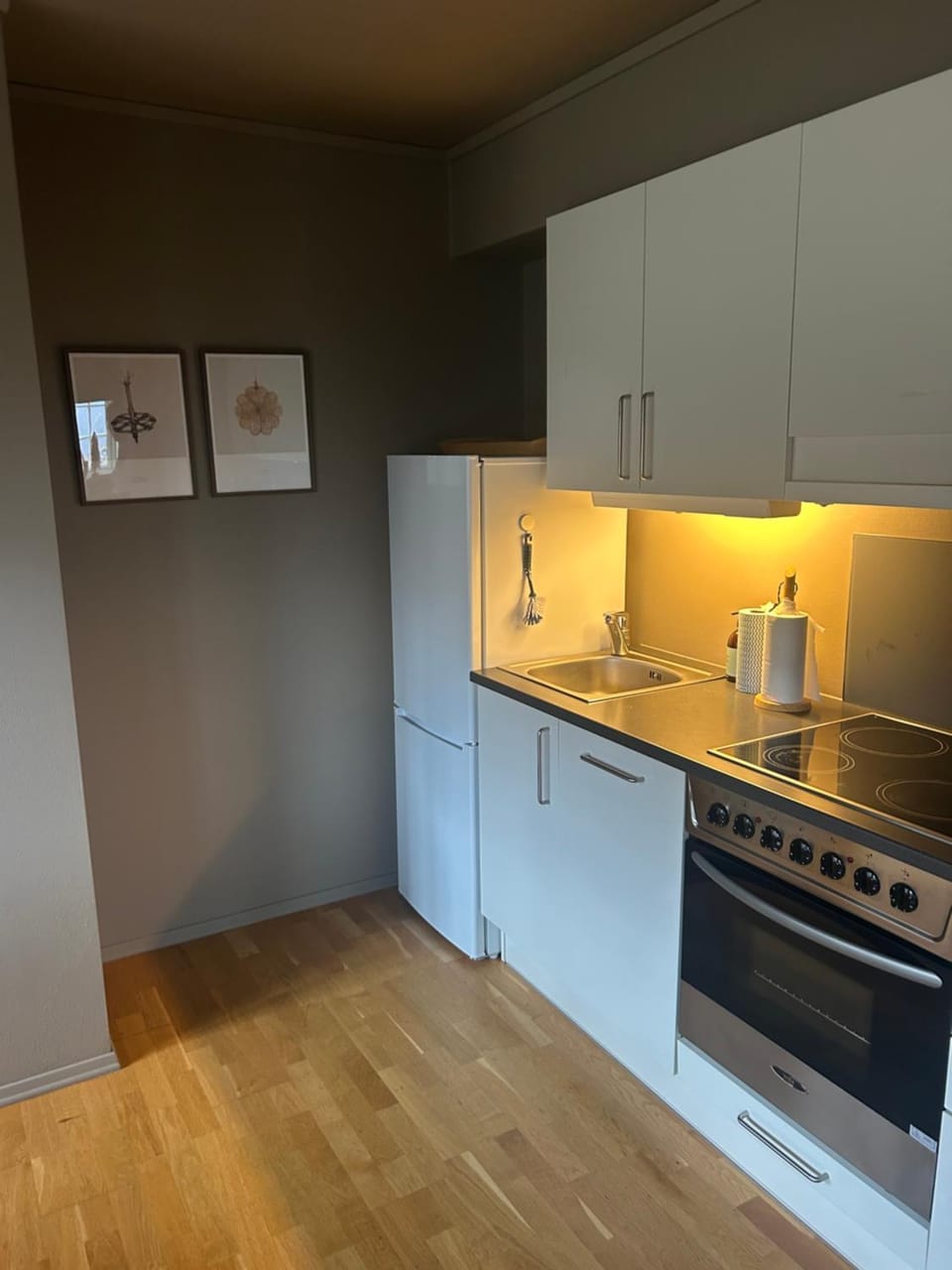 Leilighet i 1 etg Røldal Apartment in Rogaland
