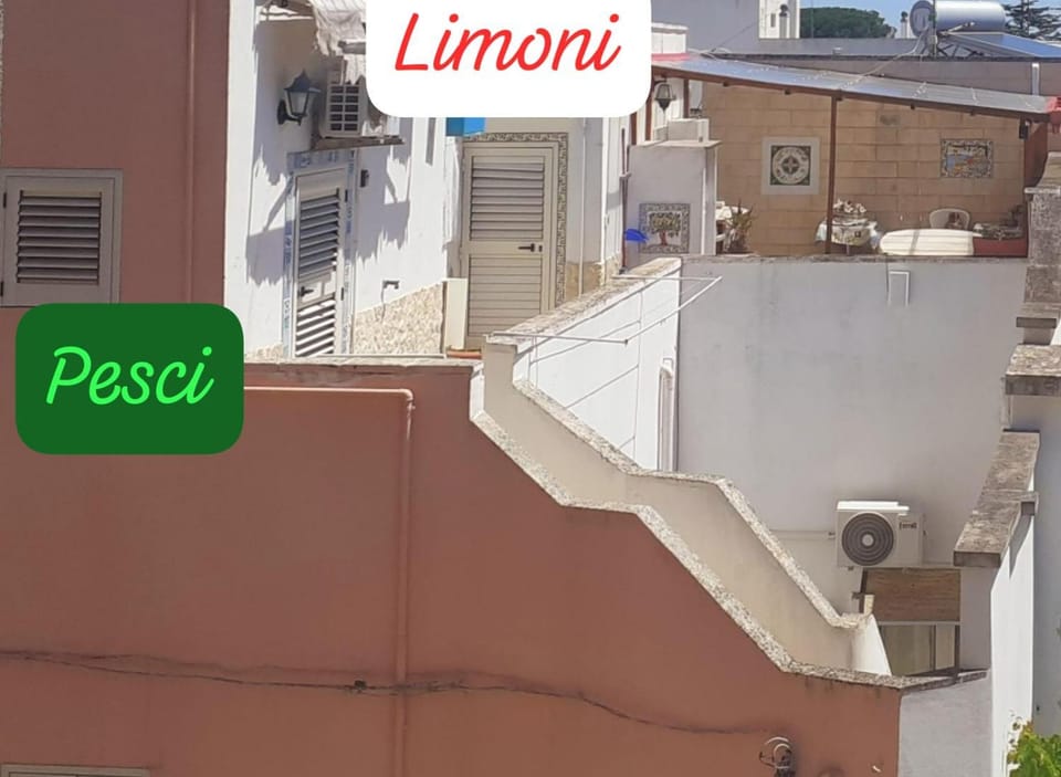 Da Paolina, alle Sterne Nove! Vacation rental in Apulia