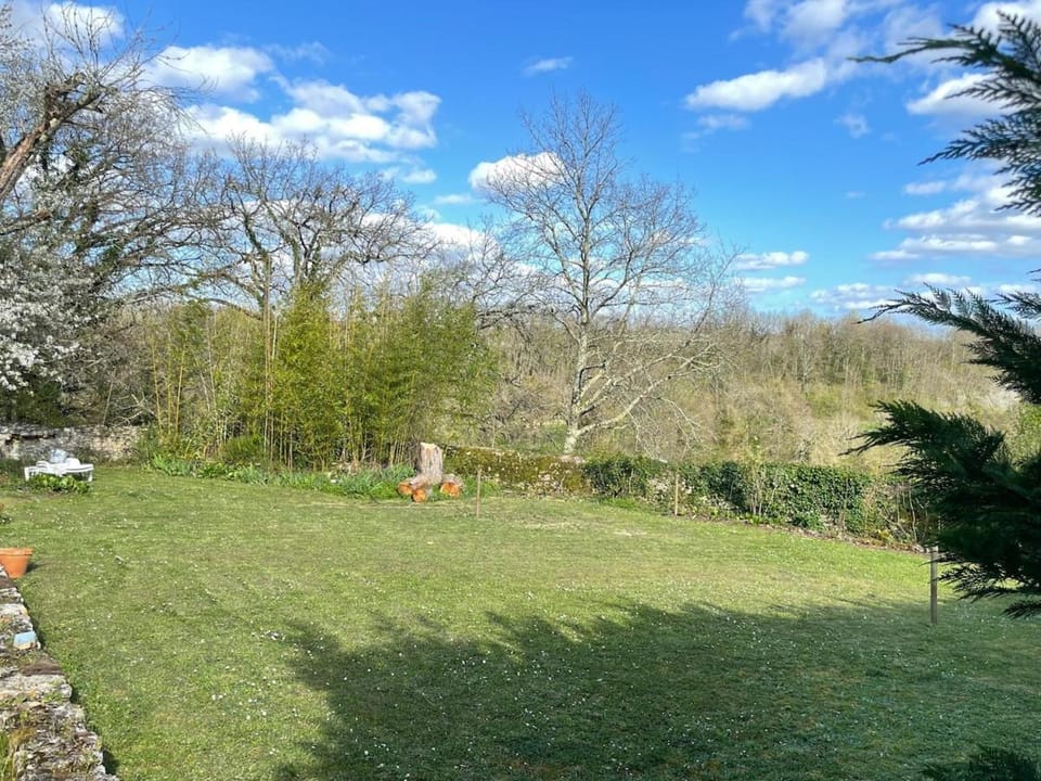 Day, Natural landscape, Garden, Garden view