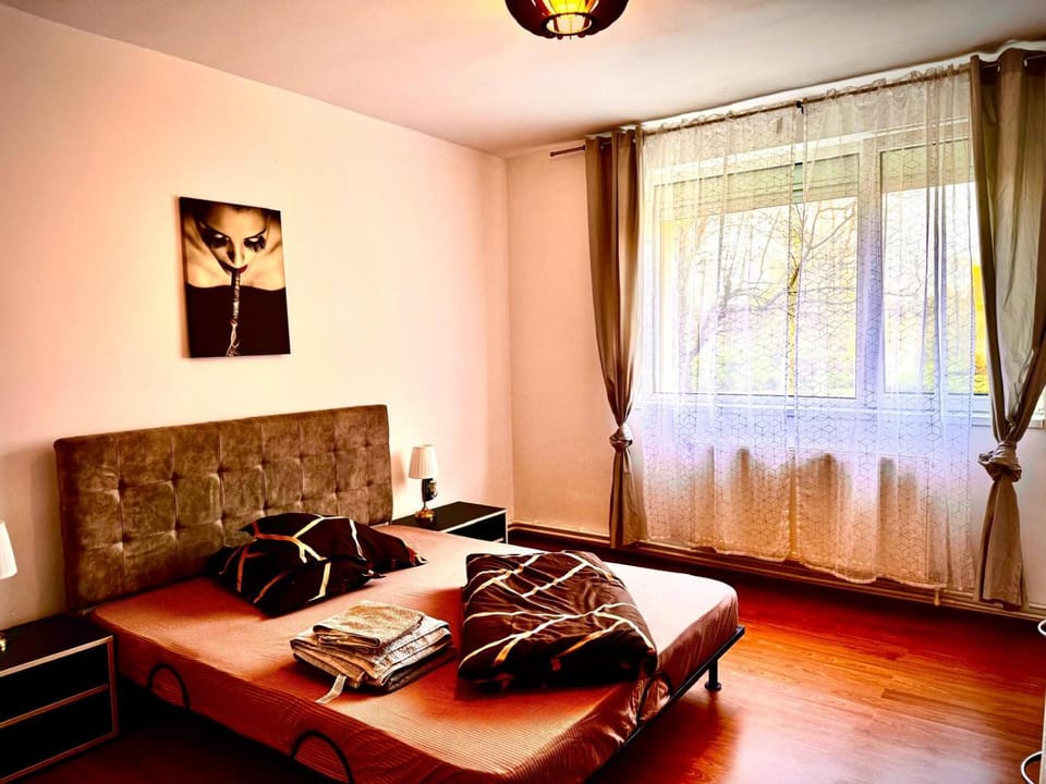 venus resort Apartment in Timisoara