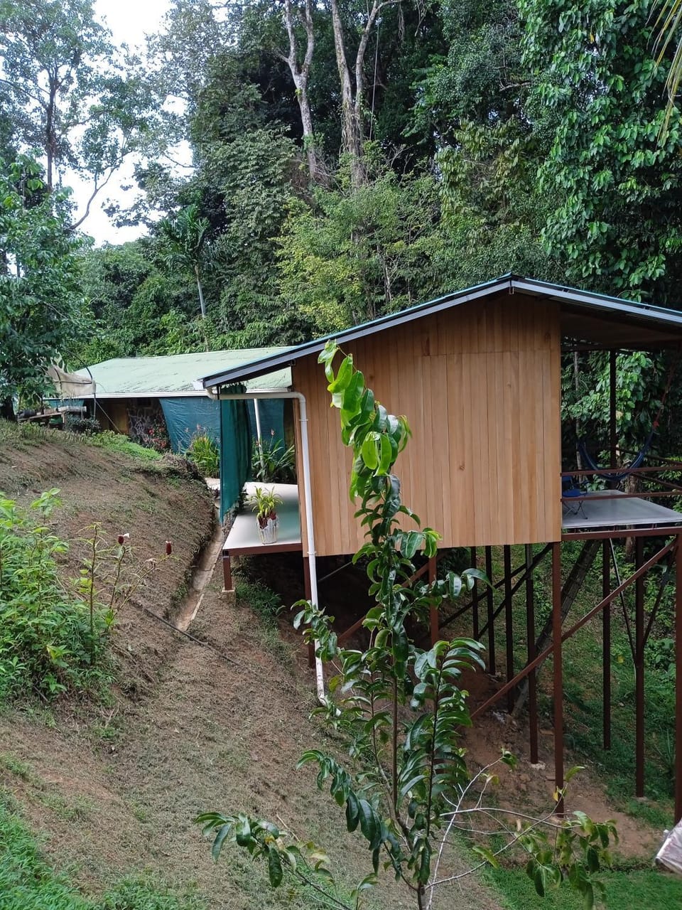 Cabañas Bajo Bosque Drake Chalet in Puntarenas Province