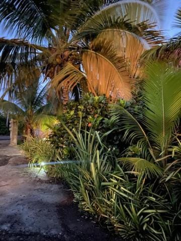 Garden view