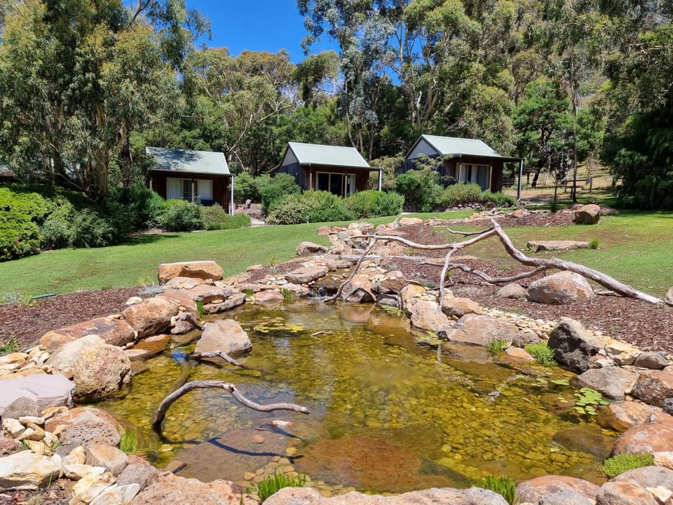 Garden, Garden view