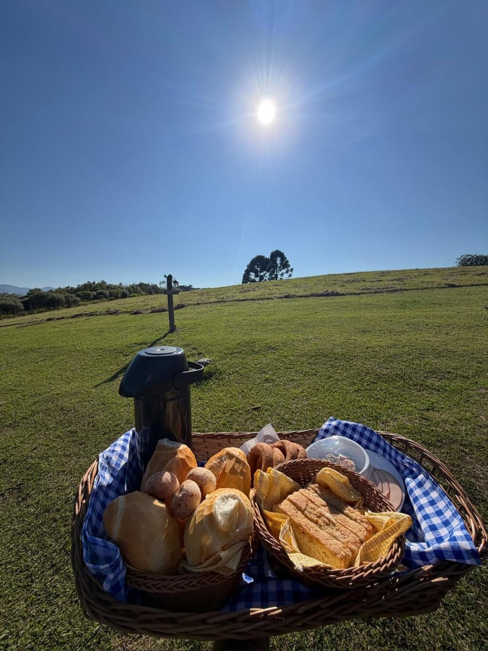 Day, Food, Breakfast