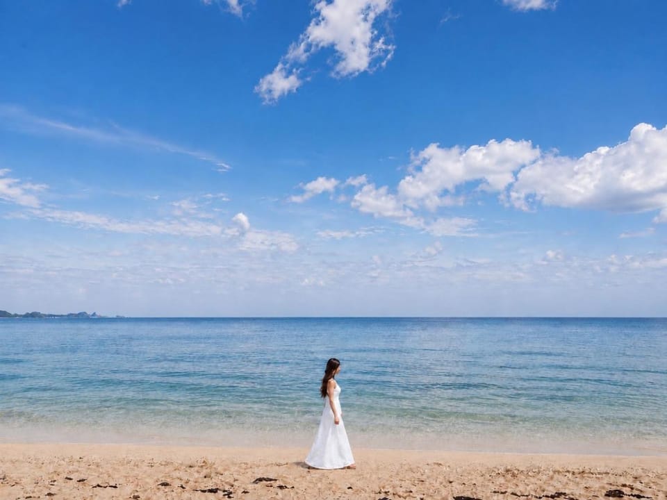 専属シェフのおもてなしTHE HERO VILLA 米原ビーチリゾートIshigaki Villa in Okinawa Prefecture