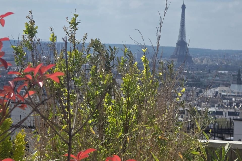 Apartment with terrace and view of Paris Apartment in Paris