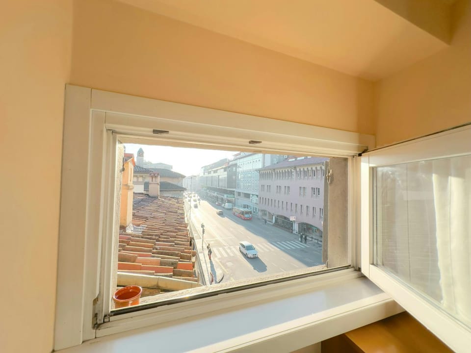 View (from property/room)