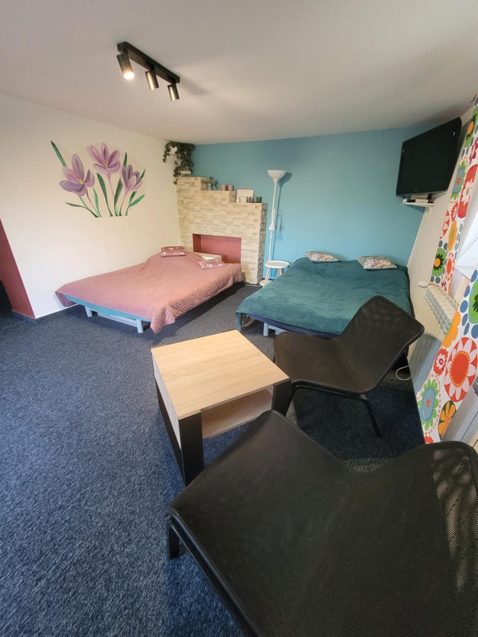 Bed, TV and multimedia, Photo of the whole room