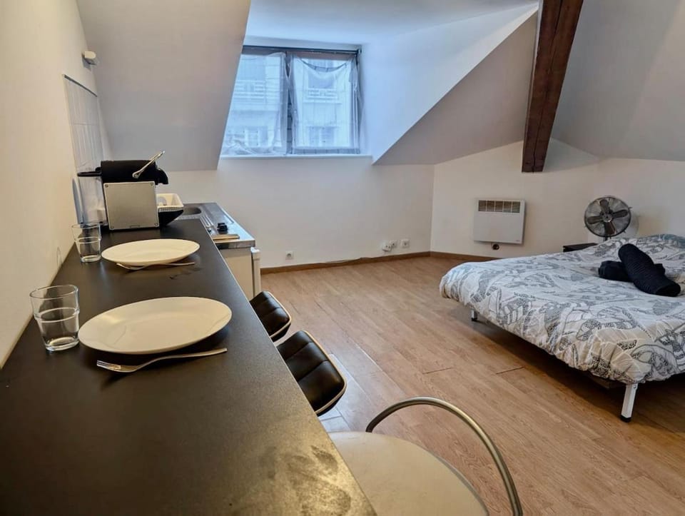 Studio Hyper Centre au Calme, Confort & Équipé Apartment in Grenoble