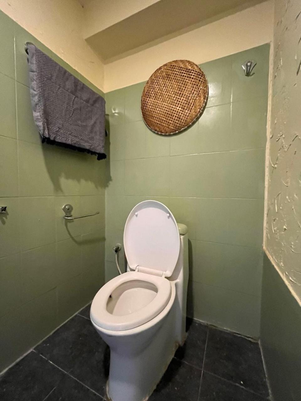 Toilet, Bathroom, towels