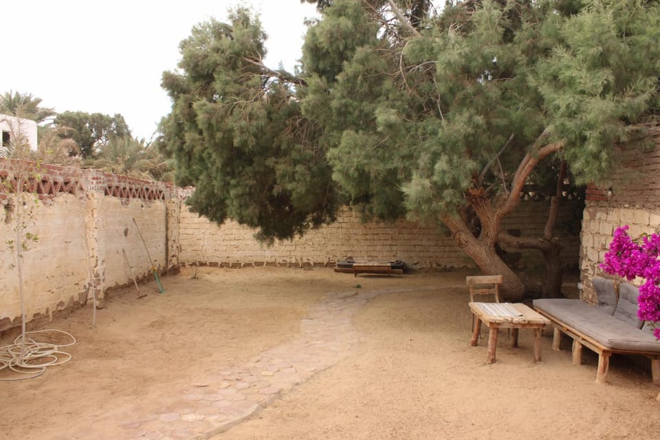 Spring, Garden, Dining area, Garden view