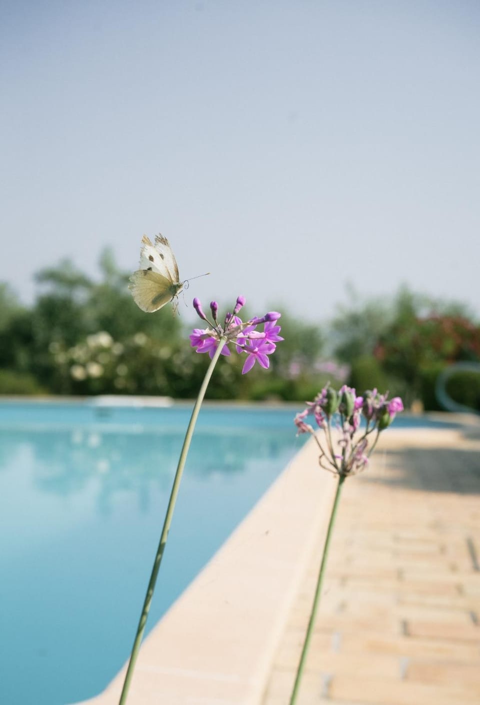 Casa Marie Leonie House in Marche