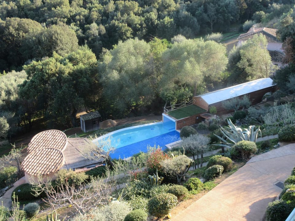 la grande piscine Villa in Porto-Vecchio