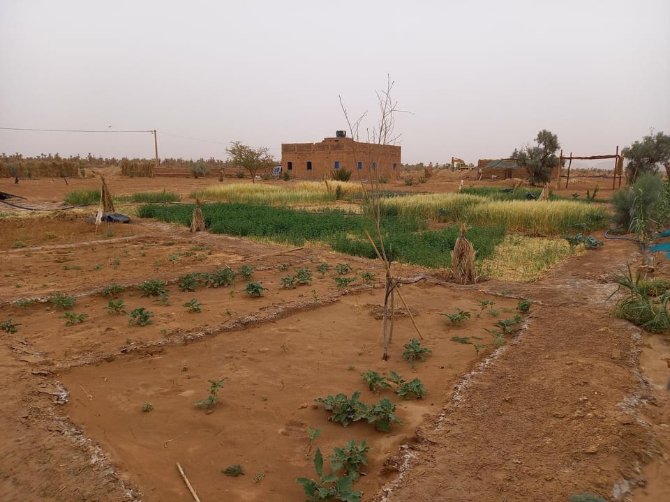Property building, Garden