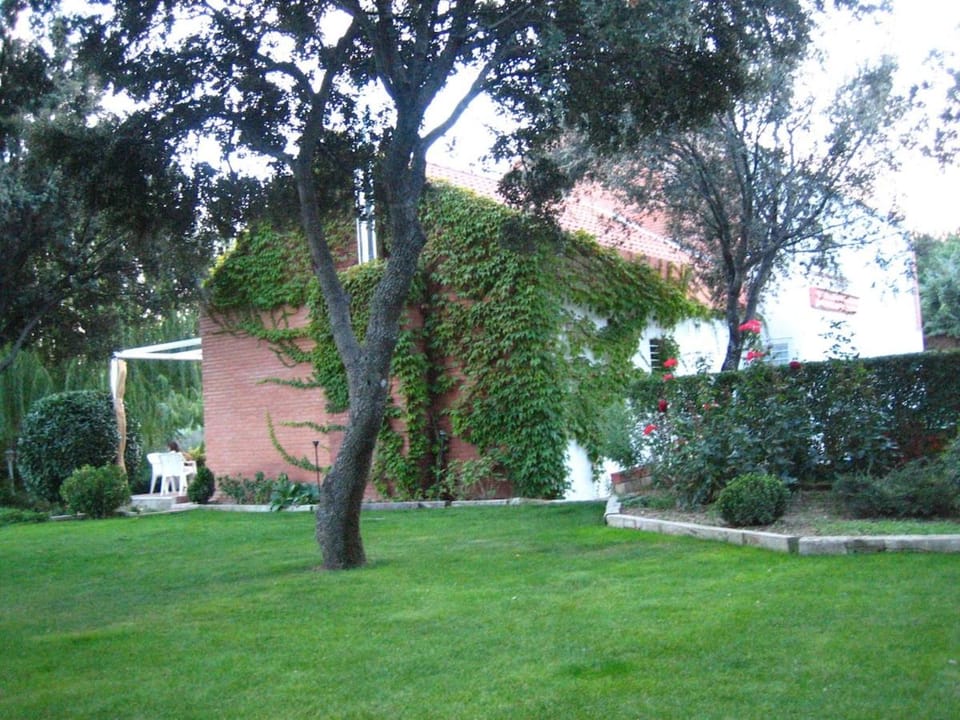 Property building, Garden, Garden view