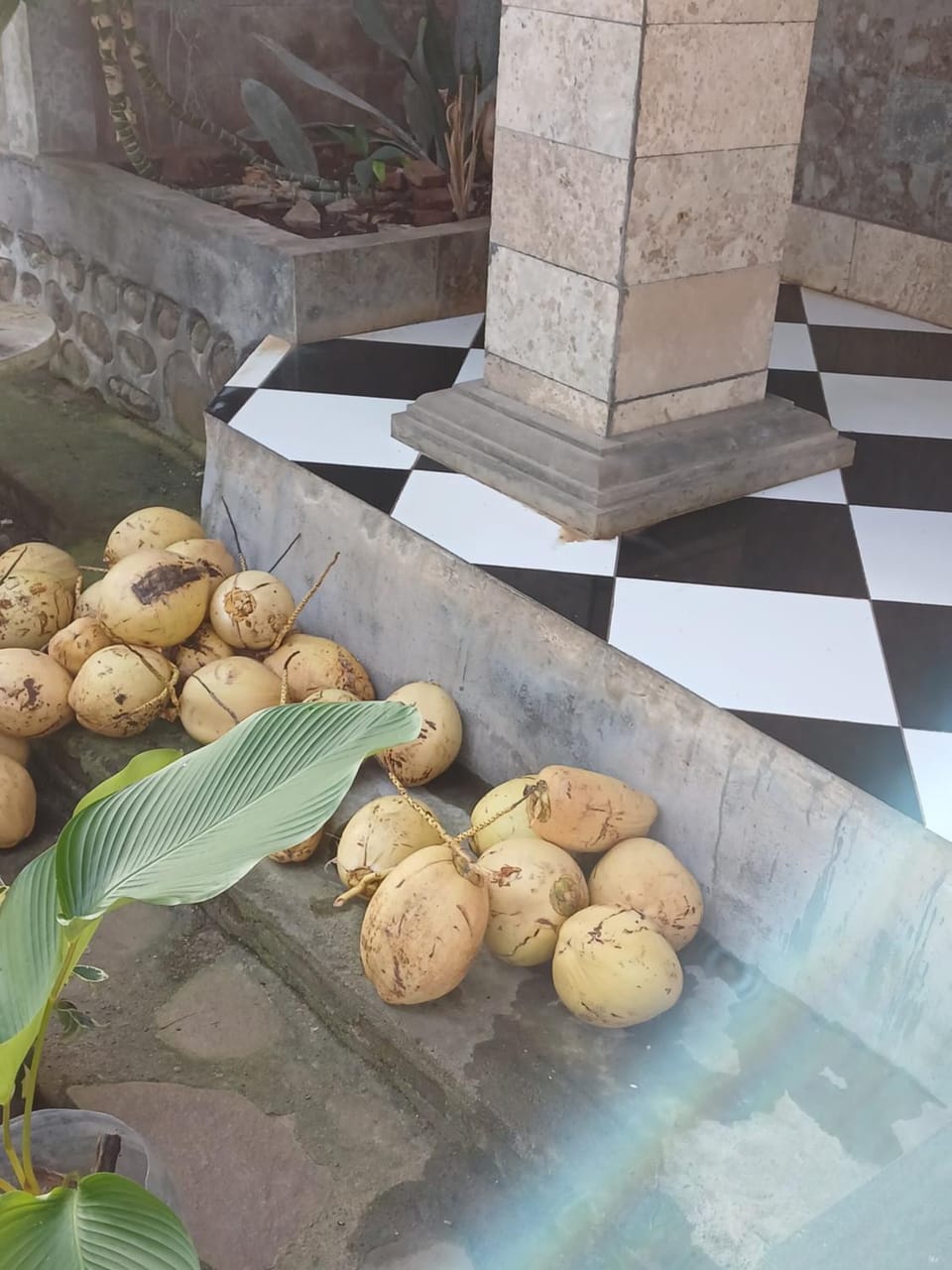 Dannyjuljol homestay Bed and Breakfast in West Nusa Tenggara, Indonesia