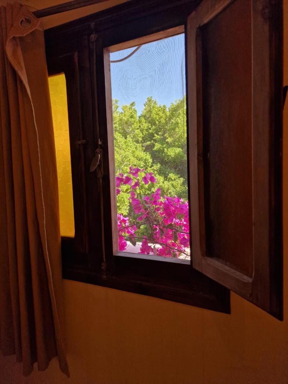 Wanas hostel Hostel in South Sinai Governorate